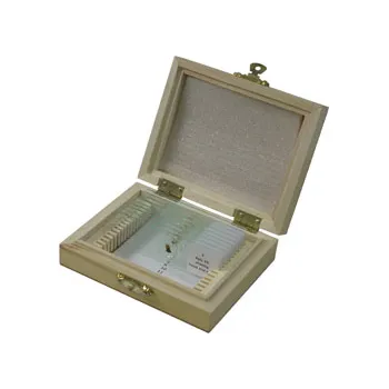 Slide Set - Insect Anatomy - Set of 9 - Modern Teaching Aids NZ