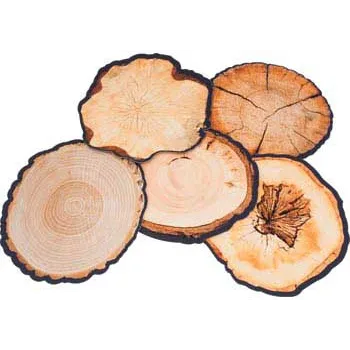 Wooden Log Floor Mats - 16 Pieces - Modern Teaching Aids NZ