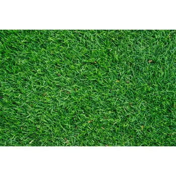 Grass Playmat - 100 x 150cm - Modern Teaching Aids NZ