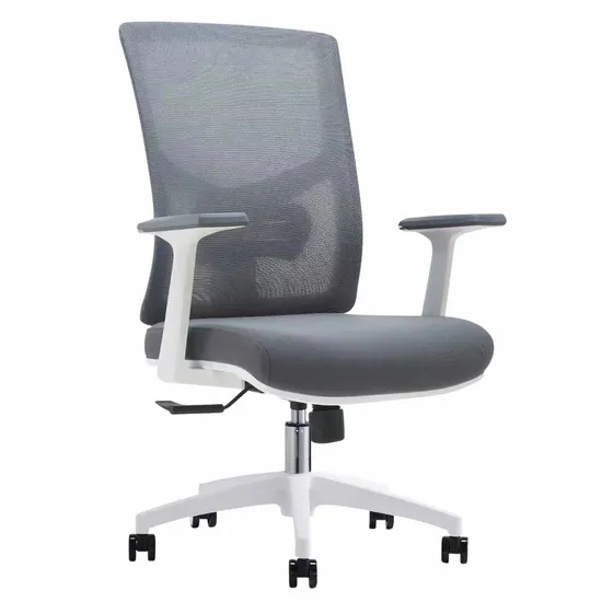 Ergerite Office Chair - White