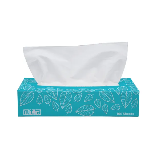 Facial Tissues 2Ply 100 Sheets - Modern Teaching Aids NZ