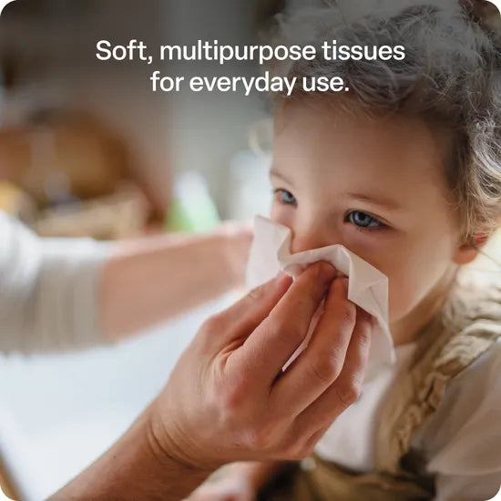 Facial Tissues 2Ply 100 Sheets - Pack of 48 - Modern Teaching Aids NZ