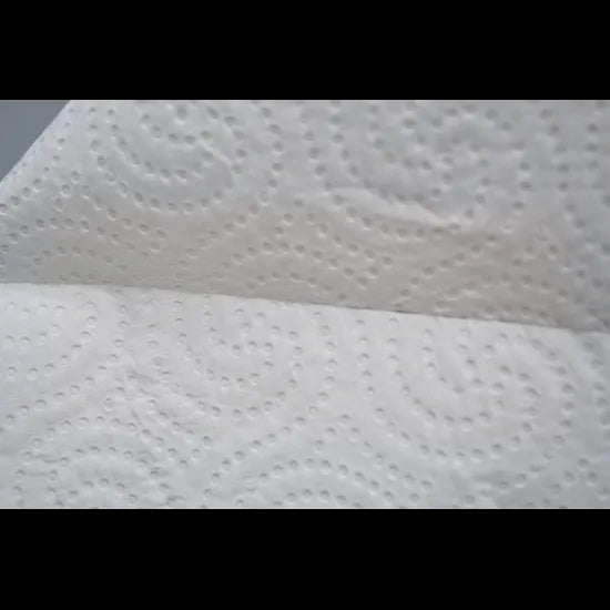 Paper Kitchen Towel 2 Ply 6 Rolls x 60 Sheets each - Modern Teaching Aids NZ