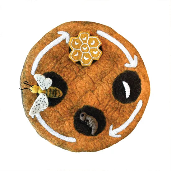 Felt Lifecycle of a Honey Bee