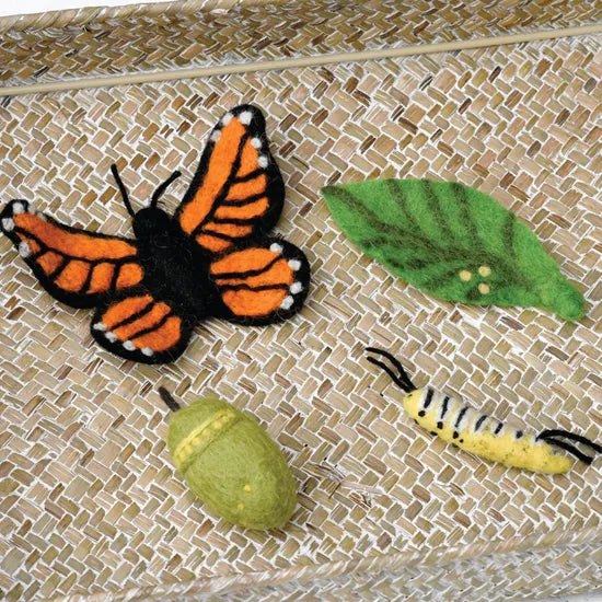 Felt Lifecycle of Monarch Butterfly