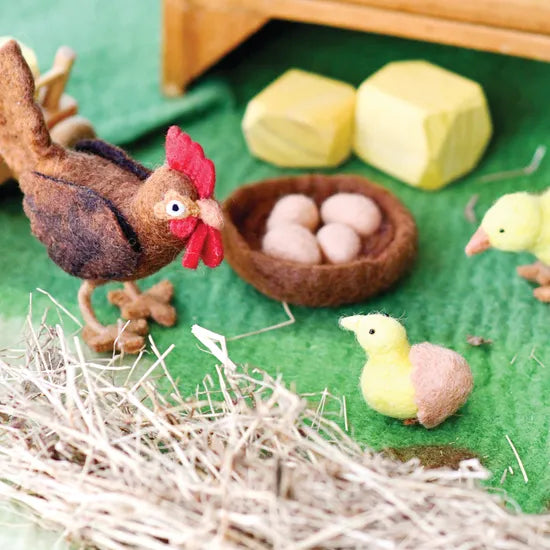 Felt Lifecycle of a Chicken