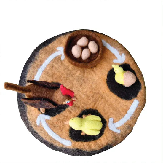 Felt Lifecycle of a Chicken