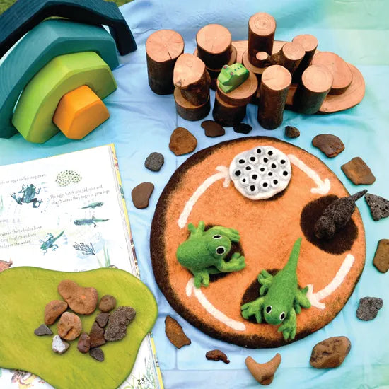 Felt Lifecycle of a Frog