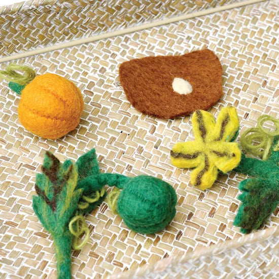 Felt Lifecycle of Pumpkin
