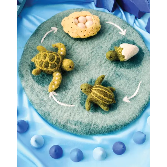 Felt Lifecycle of Green Sea Turtle