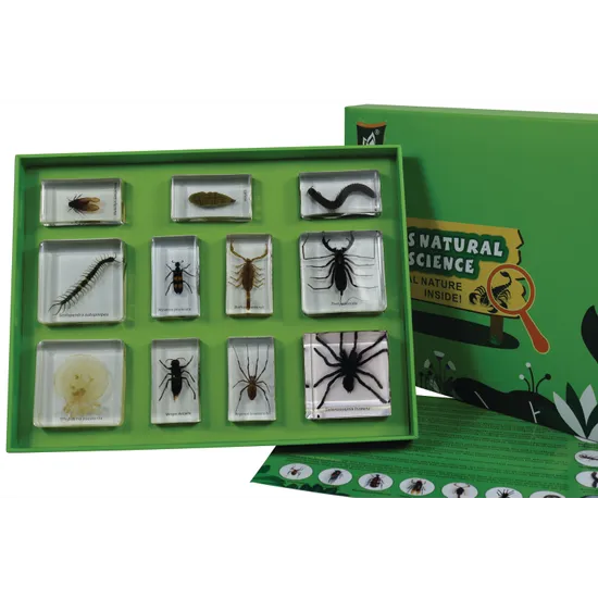 Poisonous Animal Kits