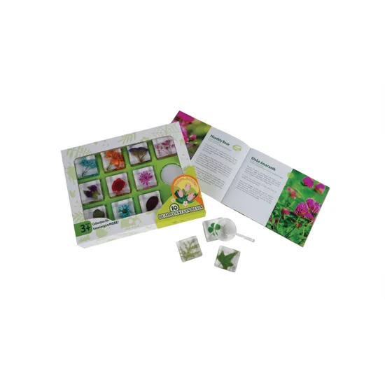 Colourful Flowers - Modern Teaching Aids NZ