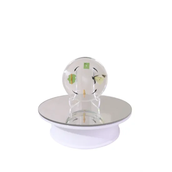 Life Cycle of the Honeybee