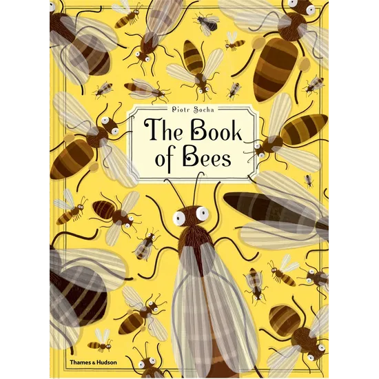 The Book of Bees - Modern Teaching Aids NZ