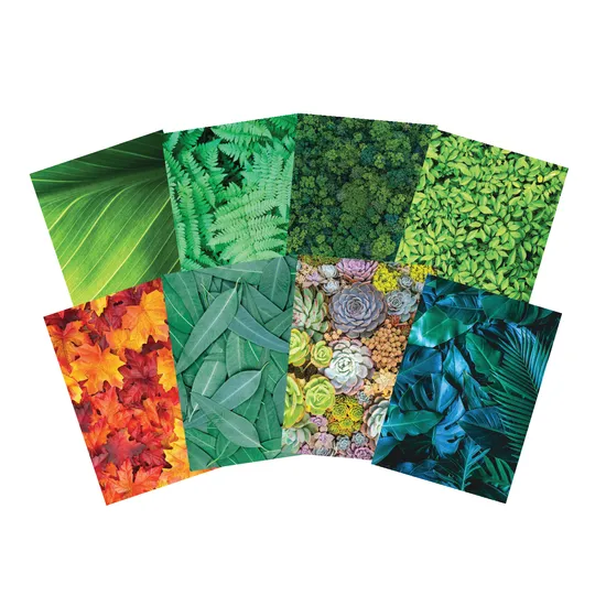Foliage Pattern Paper A4 - Pack of 40 - Modern Teaching Aids NZ
