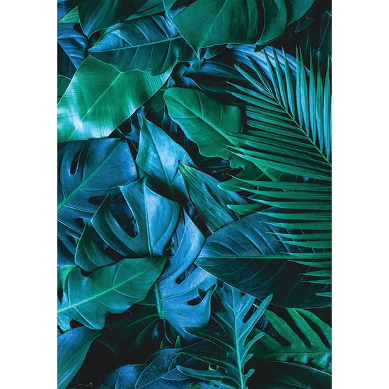 Foliage Pattern Paper A4 - Pack of 40 - Modern Teaching Aids NZ