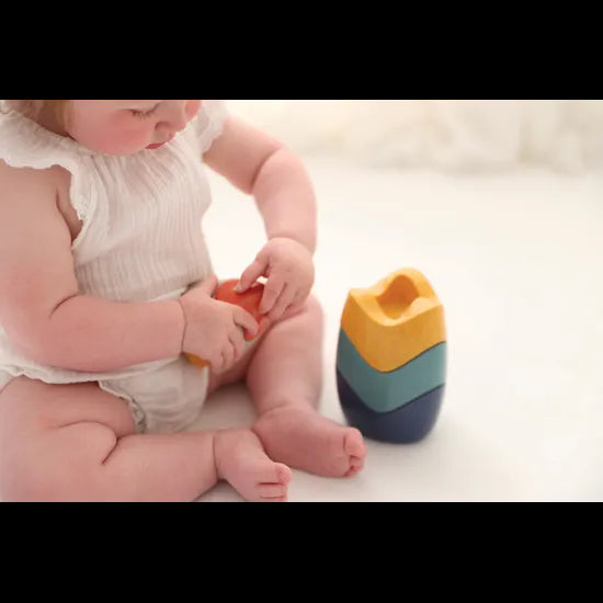 Bio Stacking & Nesting Egg - Modern Teaching Aids NZ