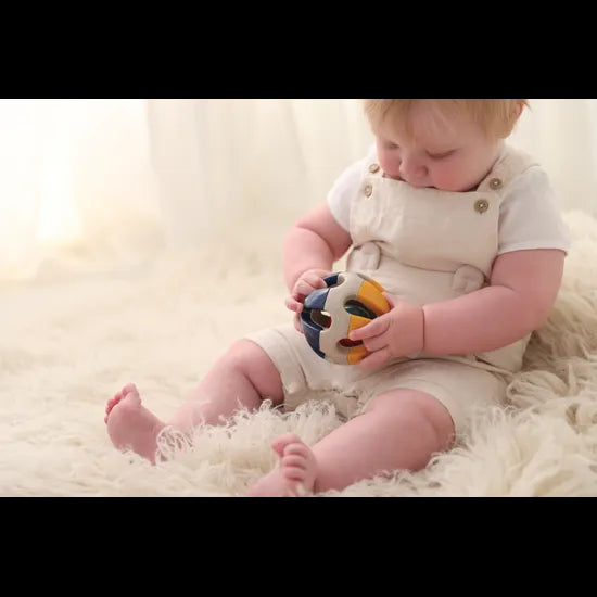 Bio Roller Rattle - Modern Teaching Aids NZ