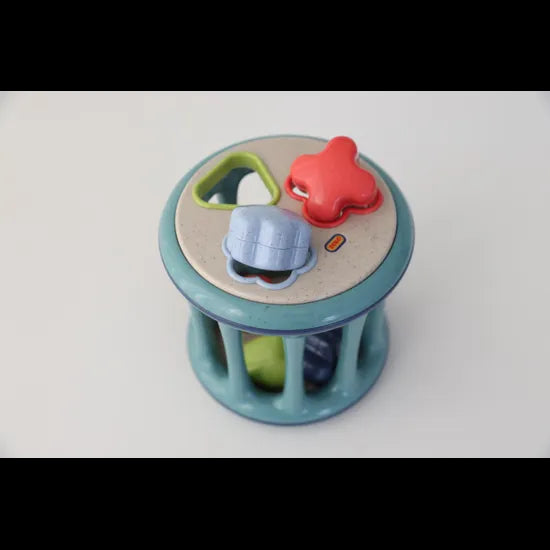 Bio Rolling Shape Sorter - Modern Teaching Aids NZ