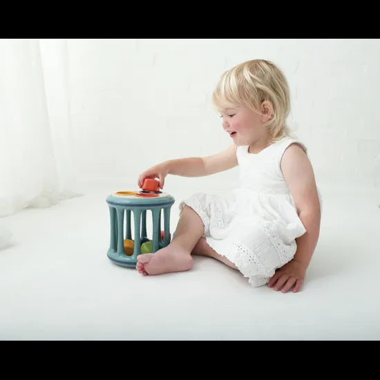 Bio Rolling Shape Sorter - Modern Teaching Aids NZ