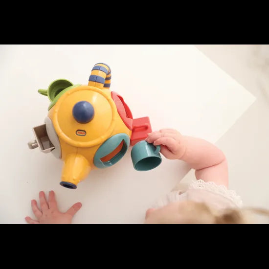 Bio Teatime Shape Sorter - Modern Teaching Aids NZ