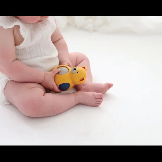 Bio Roly Poly Teddy Bear - Modern Teaching Aids NZ