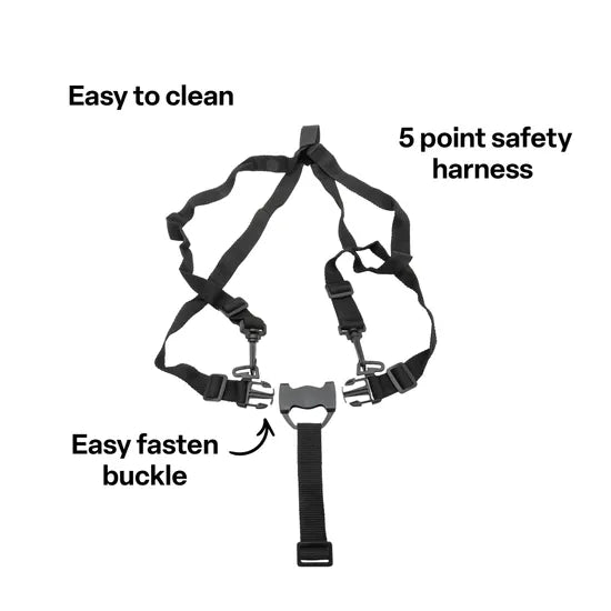 Chair Harness with Buckle (new version) - Modern Teaching Aids NZ