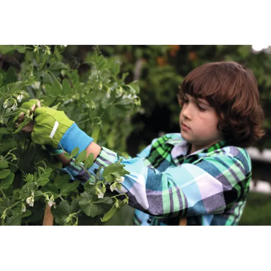 Twigz Garden Tools Starter Set 12 Pieces - Modern Teaching Aids NZ