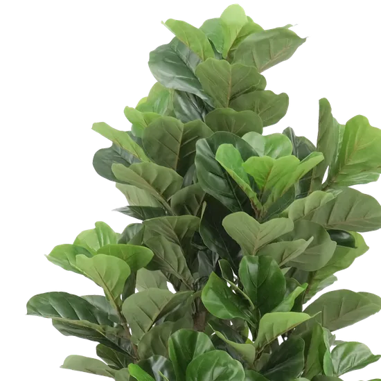Artificial Fiddle Leaf Fig - 180 cm (H) - Modern Teaching Aids NZ