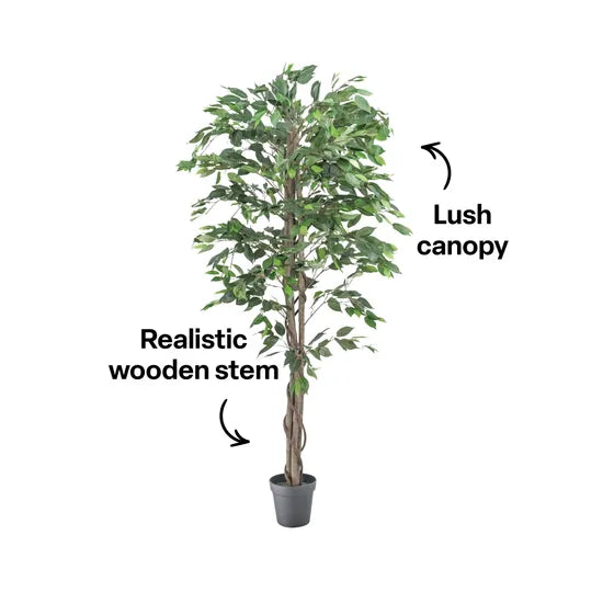 Artificial Ficus Plant - 180 cm - Modern Teaching Aids NZ