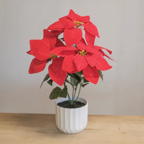 Artificial Red Poinsettia & Pot - Modern Teaching Aids NZ