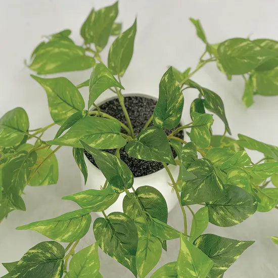 Artificial Devil's Ivy Plant - 35 cm - Modern Teaching Aids NZ