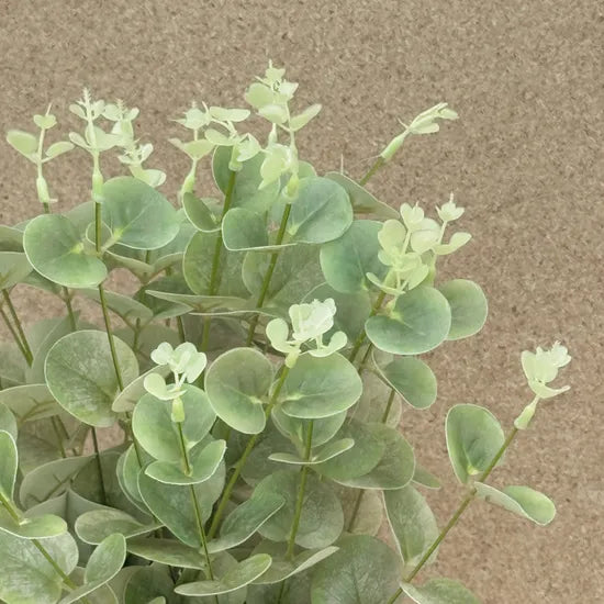 Artificial Green Baby Eucalyptus 38cm - Modern Teaching Aids NZ