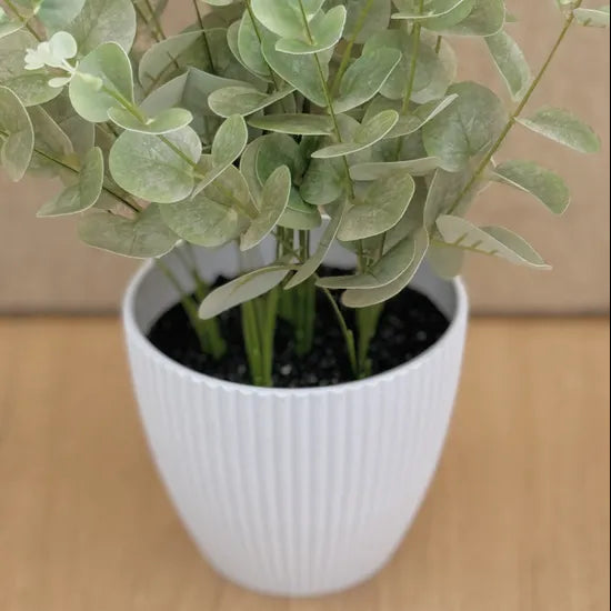 Artificial Green Baby Eucalyptus 38cm - Modern Teaching Aids NZ