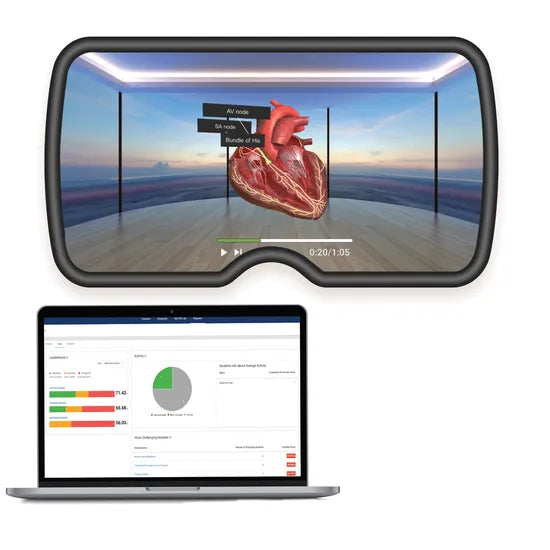 UMETY Core - 1 year subscription - Modern Teaching Aids NZ