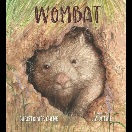Wombat - Modern Teaching Aids NZ