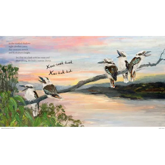 Kookaburra - Modern Teaching Aids NZ