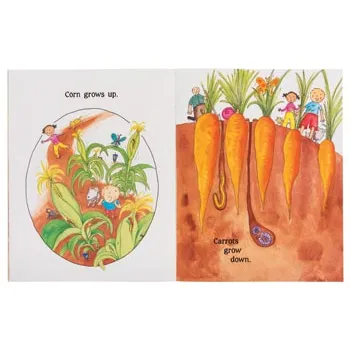 Up Down and Around Big Book - Modern Teaching Aids NZ