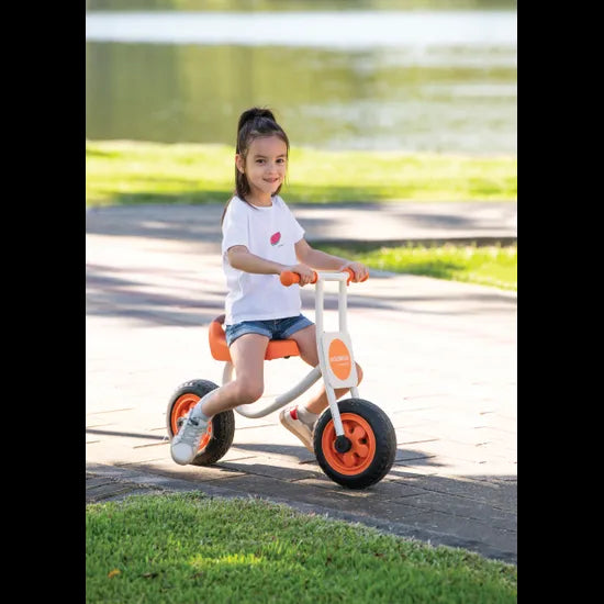 Edusante Walking Bike - Modern Teaching Aids NZ