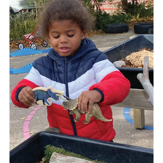 Dinosaur Characters - Wooden Blocks - Modern Teaching Aids NZ
