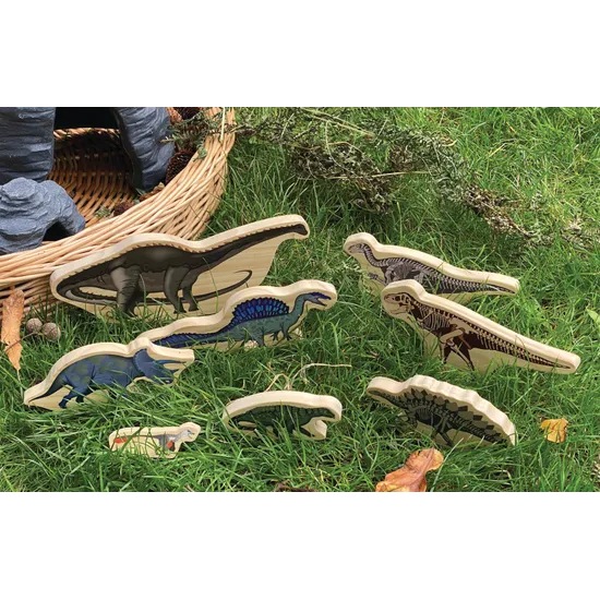 Dinosaur Characters - Wooden Blocks - Modern Teaching Aids NZ