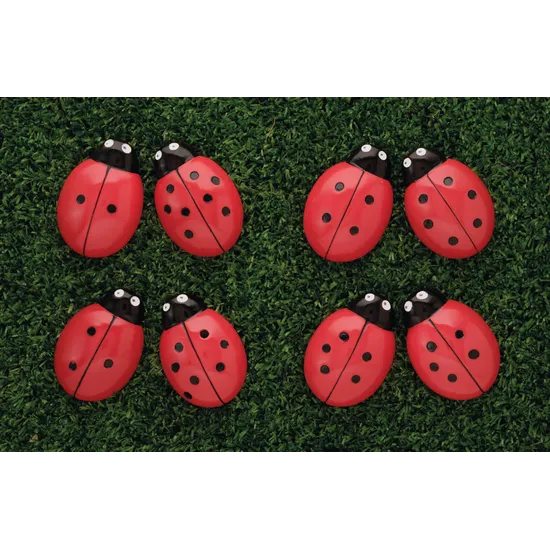 Ladybugs Counting Stones - Modern Teaching Aids NZ