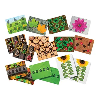 Ladybugs Counter Set & Activity Cards - Modern Teaching Aids NZ