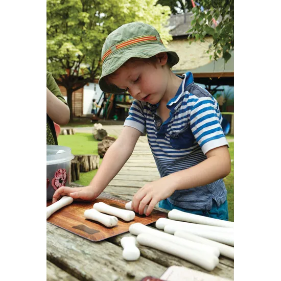 Dinosaur Bones Match and Measure Set - Modern Teaching Aids NZ