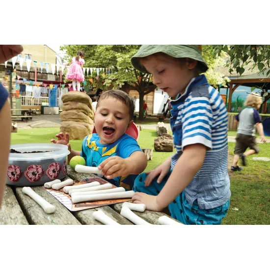 Dinosaur Bones & Activity Cards - Modern Teaching Aids NZ