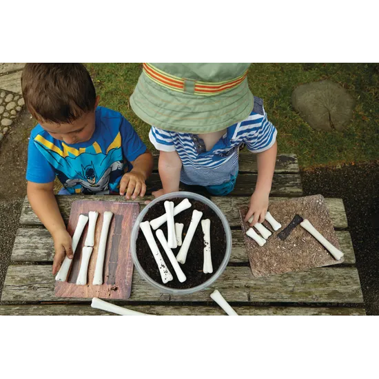 Dinosaur Bones & Activity Cards - Modern Teaching Aids NZ