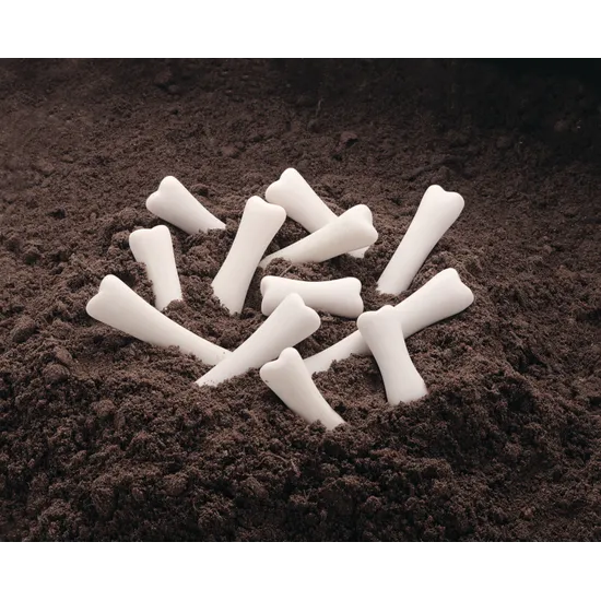 Dinosaur Bones Discovery Set of 12 - Modern Teaching Aids NZ