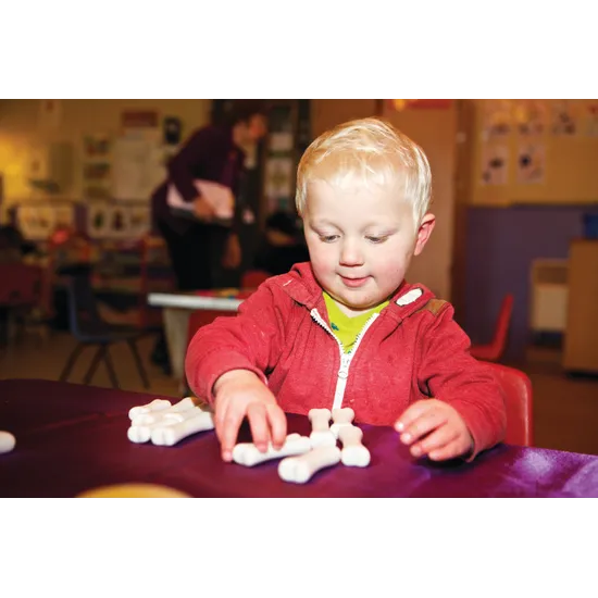 Dinosaur Bones Discovery Set of 12 - Modern Teaching Aids NZ