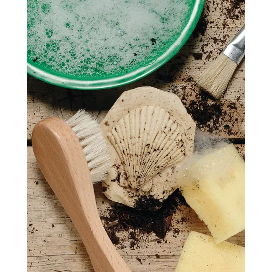 Play & Explore Fossils Set of 8 - Modern Teaching Aids NZ