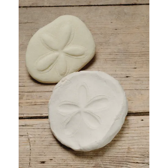 Play & Explore Fossils Set of 8 - Modern Teaching Aids NZ